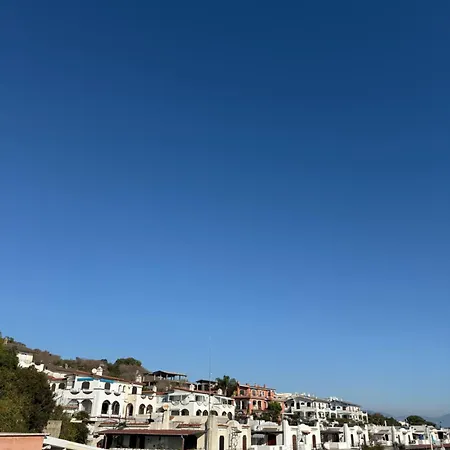 The Roofport